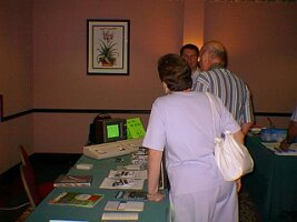 19980815_023508