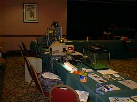 19980816_031657